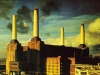 Pink Floyd Plattencover Animals 1977
